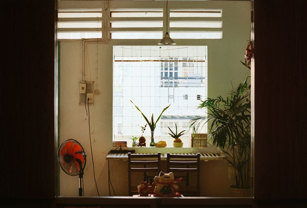 A cozy indoor room with a table, chairs, plants, and window light.